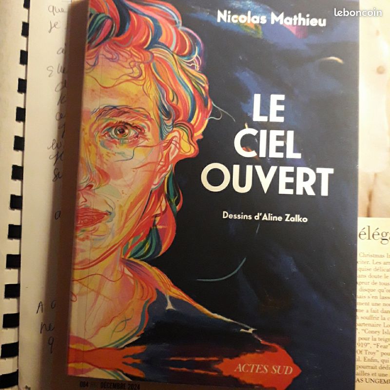 Nicolas Mathieu Le ciel ouvert (image 1)
