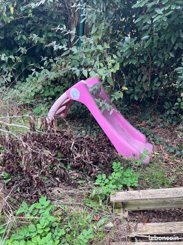 Toboggan rose de jardin (image 2)