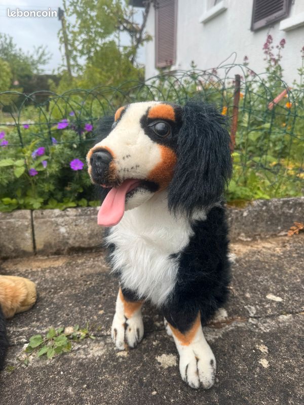 Grosse peluche chien (image 1)