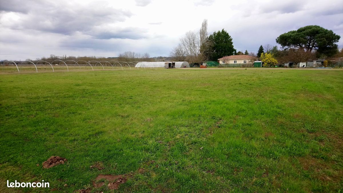 Terrain 1150 m² · à Castillon-la-Bataille · 1 150 m² · 40 000 €