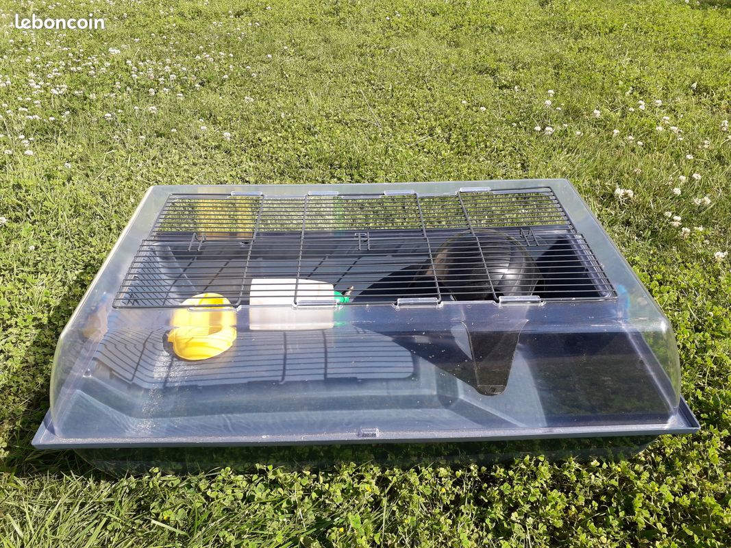 Cage cochons d'inde (image 2)