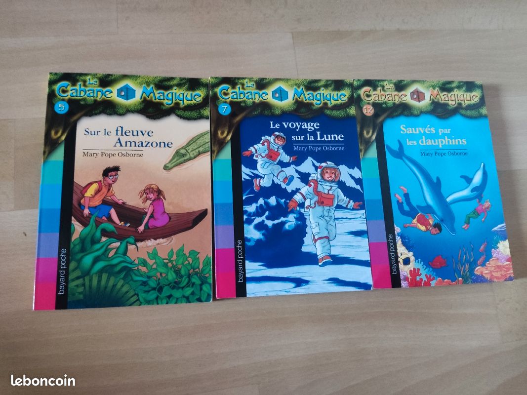 La cabane magique de Mary Pope Osborne (image 1)