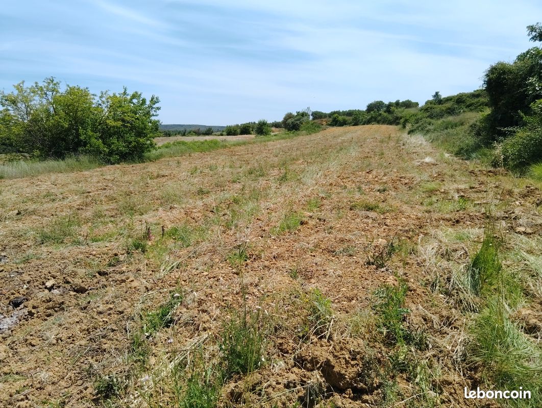 Terrains agricoles · à Gignac · 17 500 €