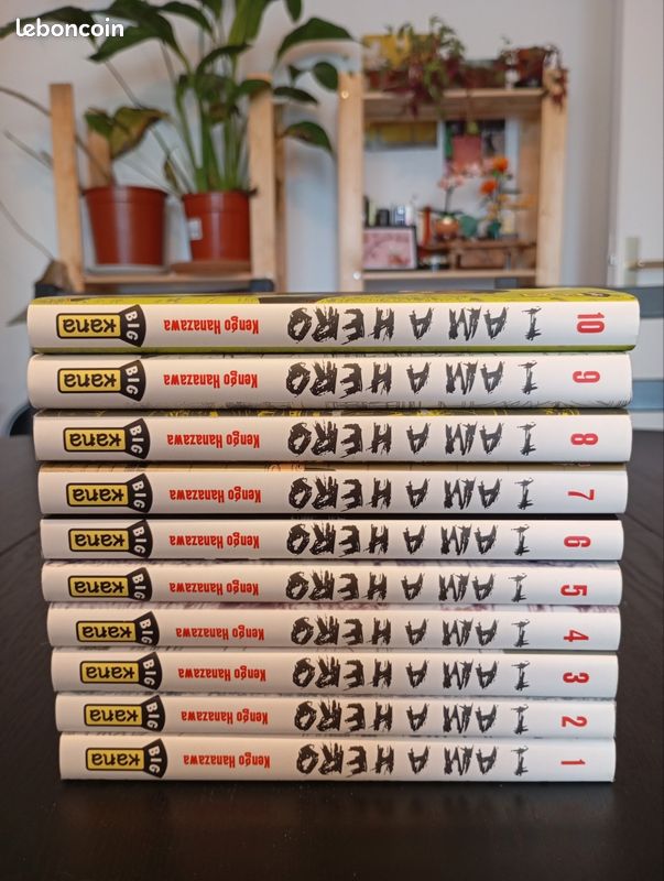 I AM A HERO (Tome 1 à 10) (image 2)