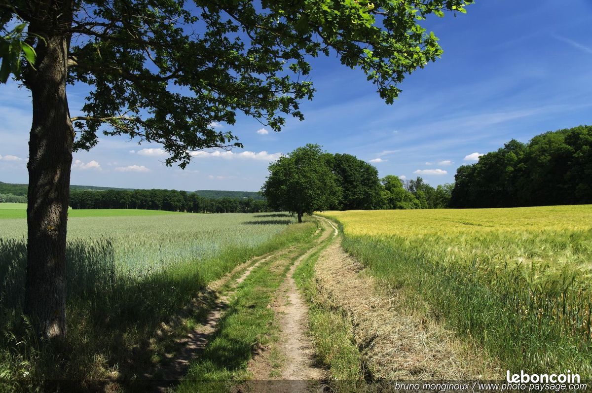 Terrain à bâtir de 554 m² à AHUILLE (53) · à Ahuillé · 52 400 €