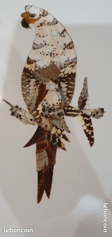 Tableau en ailes de papillon (image 2)