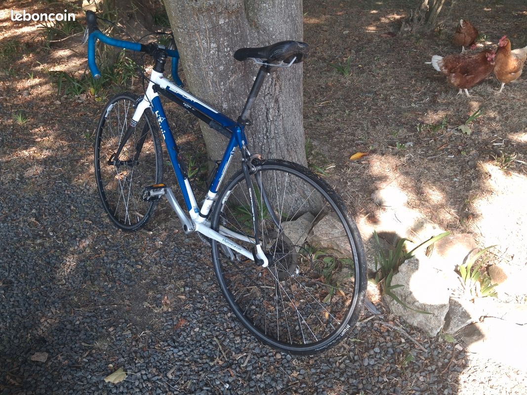 Vélo de route (image 3)