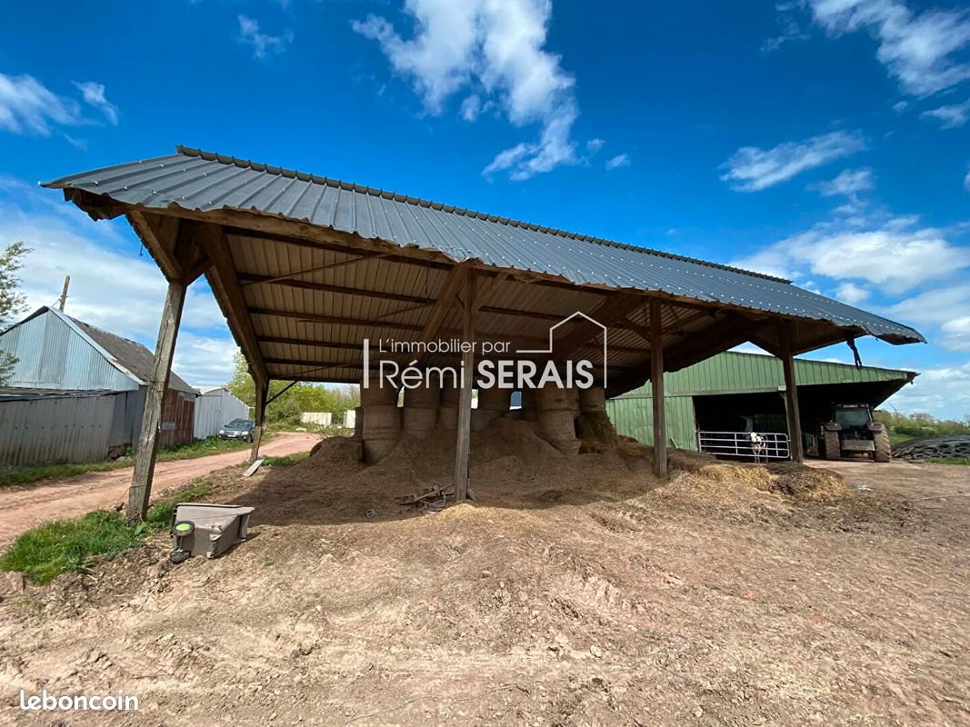 Local 4490 m² DIALAN SUR CHAINE (image 1)