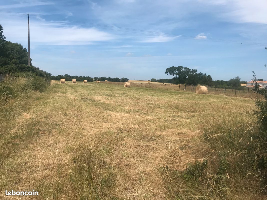 AV terrain 706 m2 · au Bernard · 88 000 €