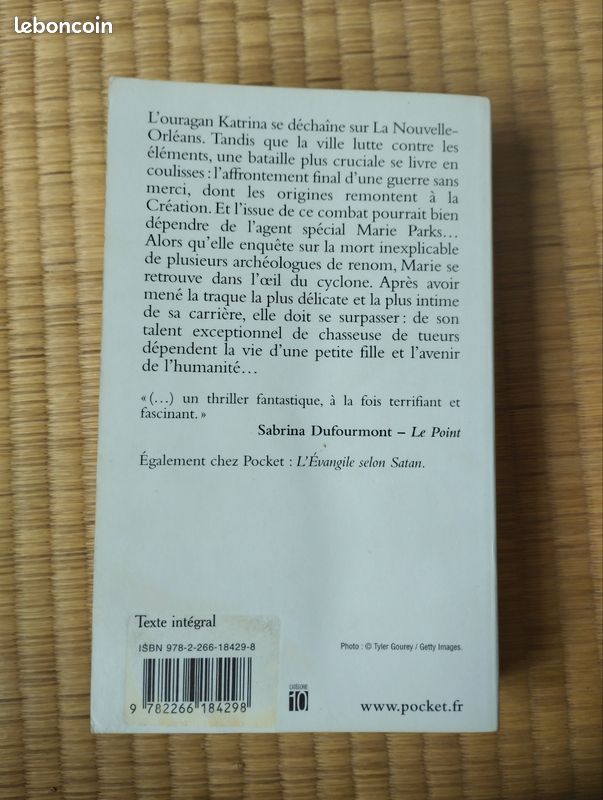 L'apocalypse selon Marie (image 3)