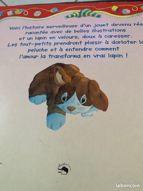 Grand livre le lapin de velours (image 3)
