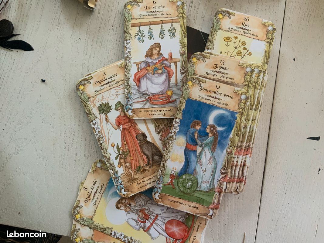Lot de livre, magazine et encens (image 6)
