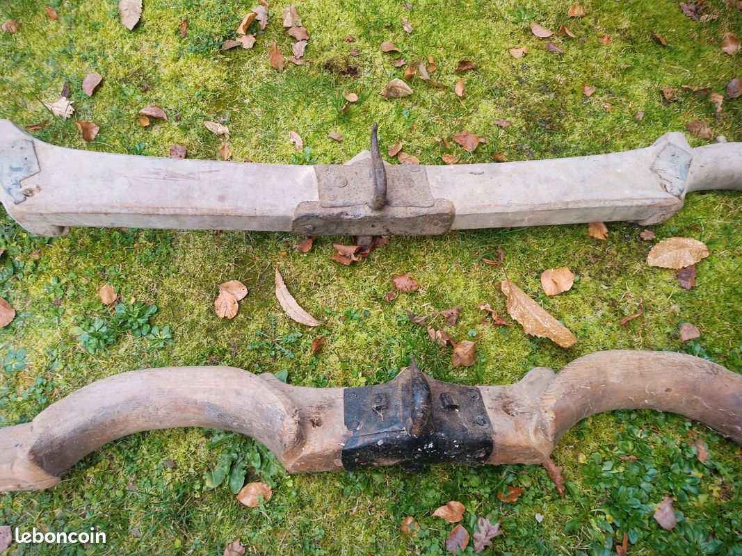 Joug de bœuf (image 4)