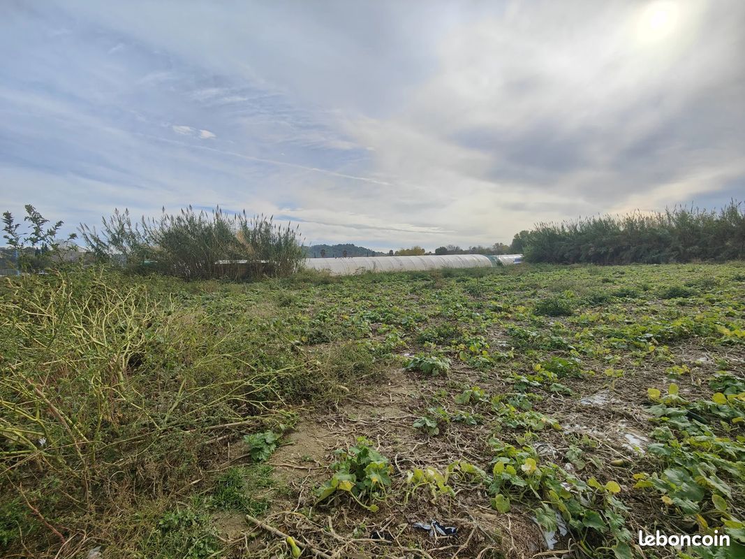 Terrain 10000 m² · à Mandelieu-la-Napoule · 10 000 m² · 2 000 €/mois