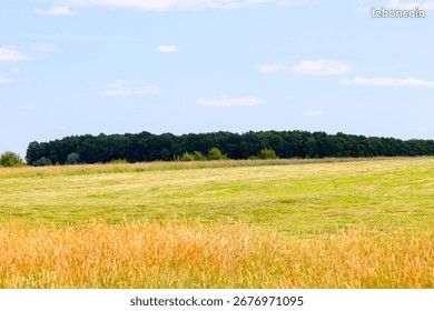 Recherche terrain 4 hectares · à Châteaumeillant · 40 000 €