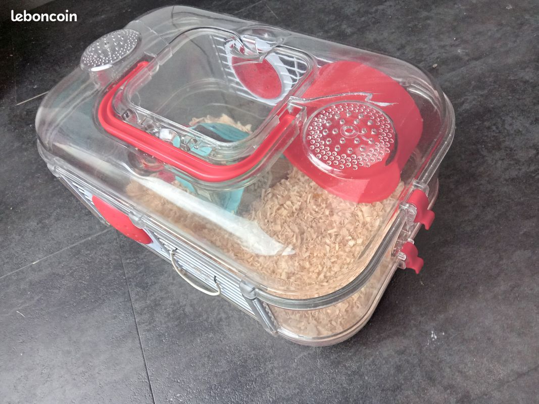 Boite de transport pour hamster (image 1)