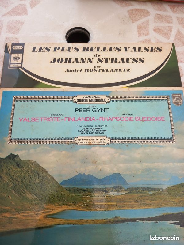 Vinyl 33 tours (image 1)