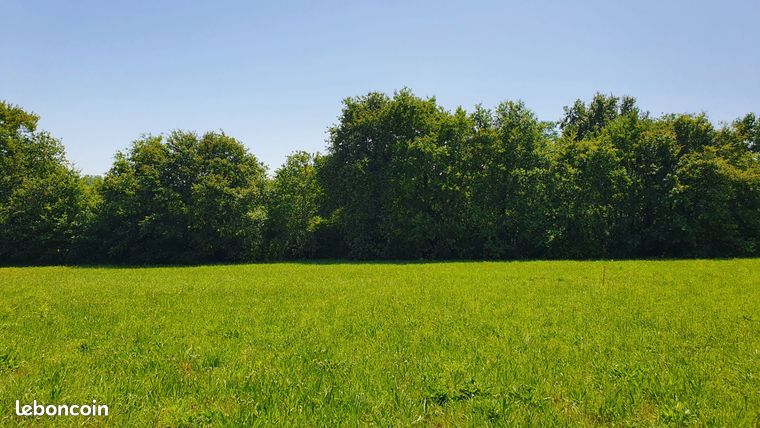 Terrain - reve ou realite