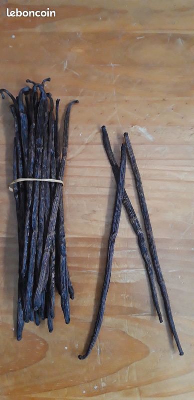 La vanille de Madagascar (image 1)