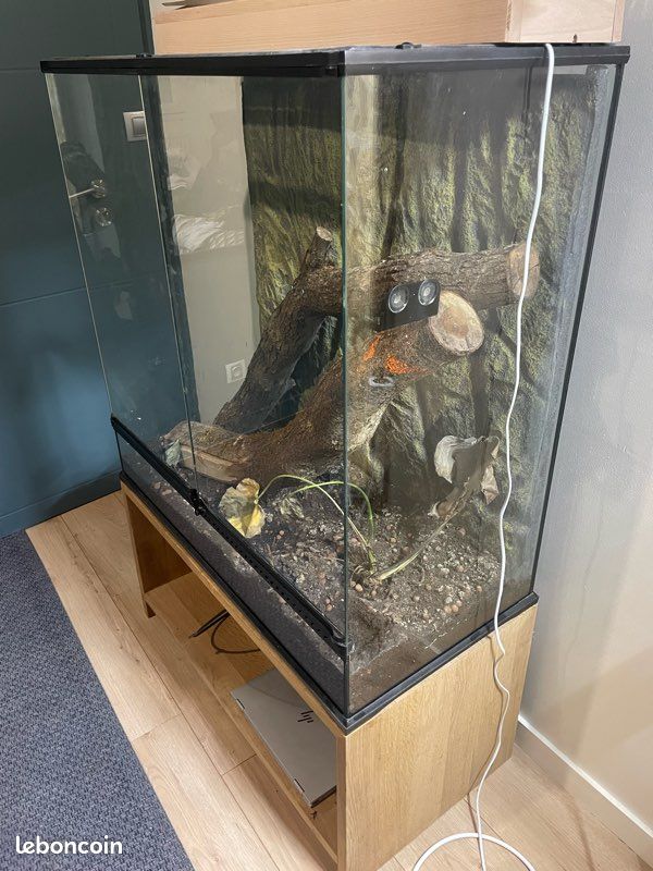 Terrarium (image 2)