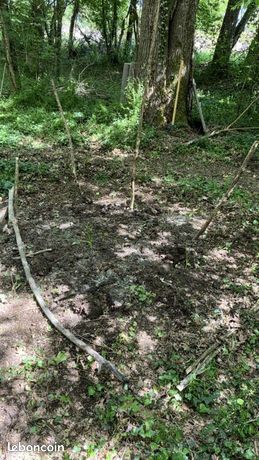 Terrain non constructible 5590m2