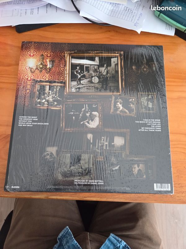 Silverchair - Diorama Vinyle Blanc (image 5)