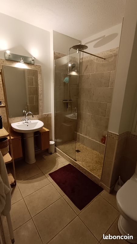 Appartement Saint-Cyprien plage (image 5)