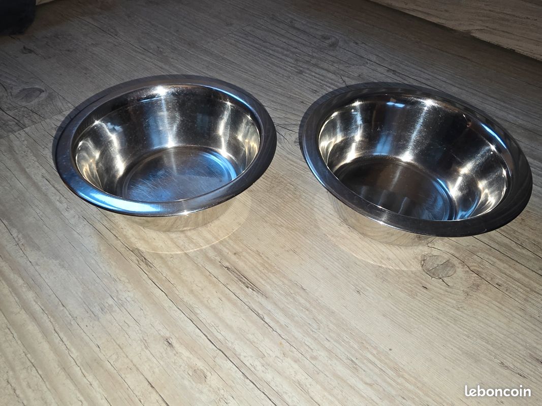 Gamelles chat ou petit chien (image 1)