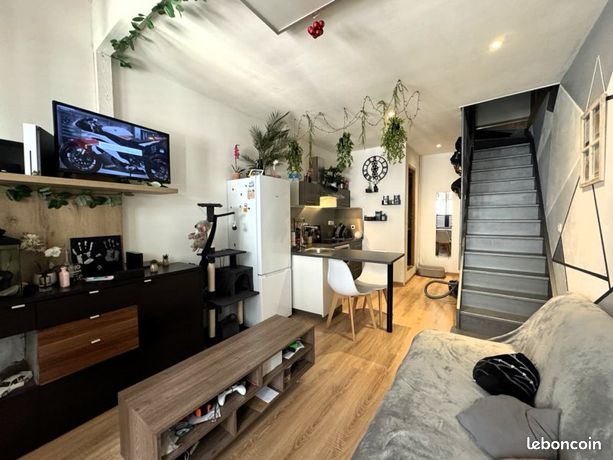 T2 50 m2 duplex, centre Vienne