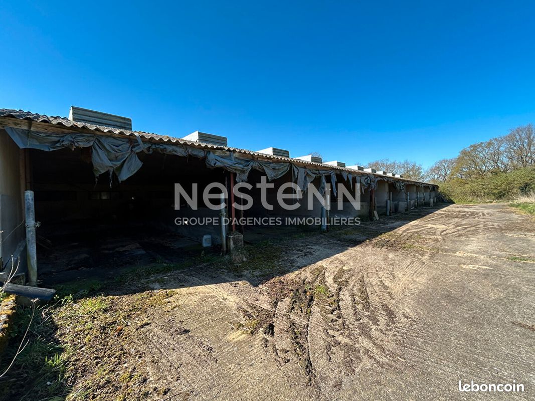 Local commercial 1000 m² · à Questembert · 1 000 m² · 49 800 €