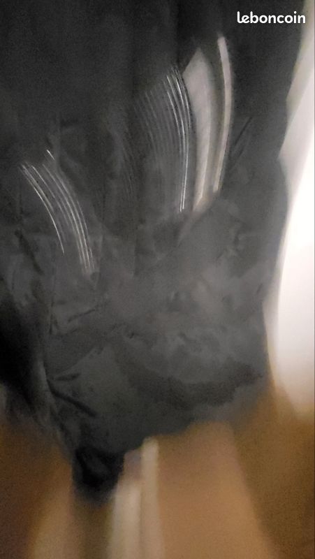 Manteau (image 5)