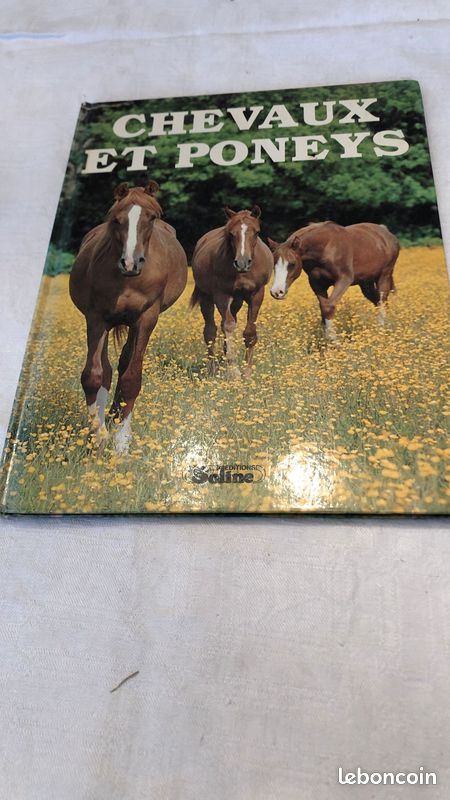 Chevaux et poneys ( soline ) (image 1)