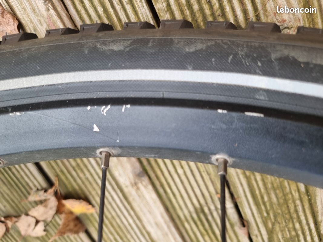 Vttae Riese & Müller GT Rohloff 2021 (transformation en VTT) (image 10)
