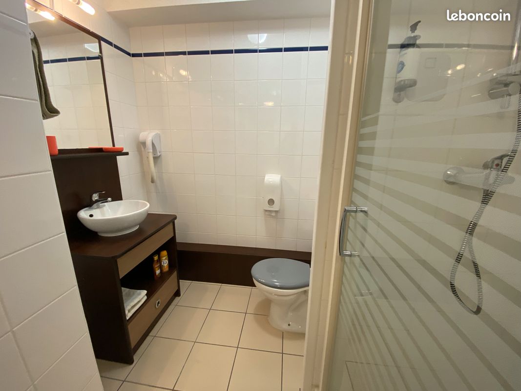 Studio 20 m2 meublé - Idron 64320 (image principale 1)