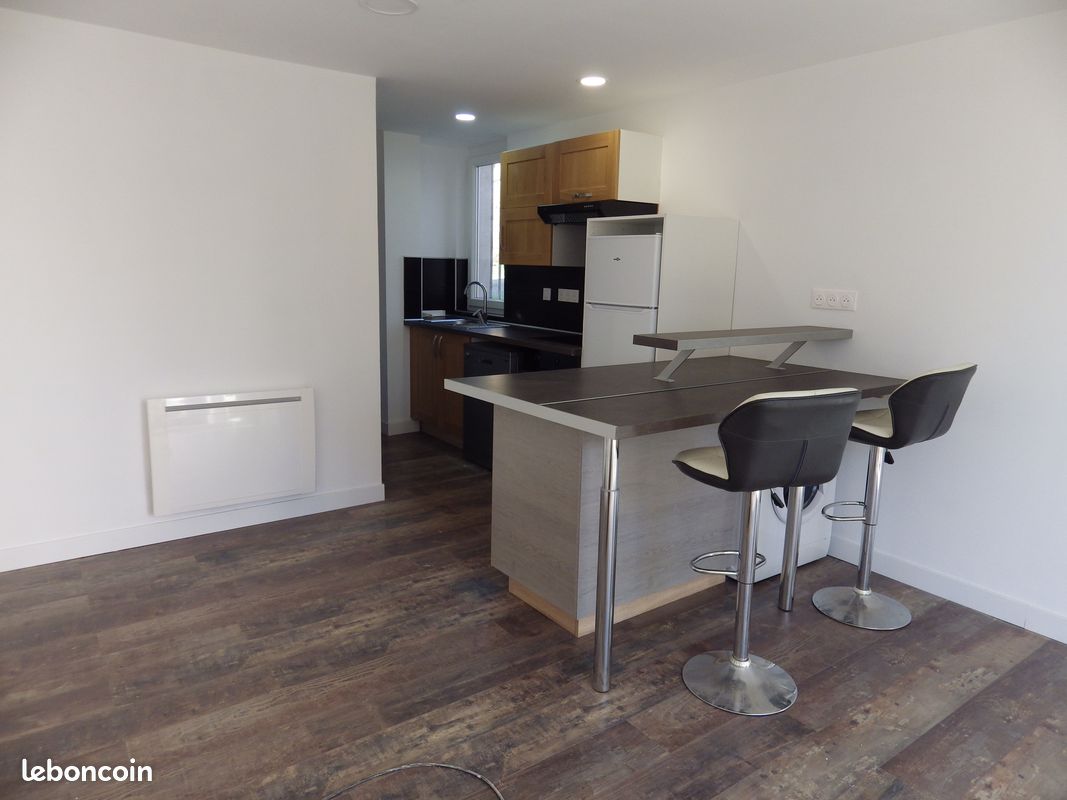 Appartement 36m² refait a neuf Limoges - Limoges 87000 (image principale 0)