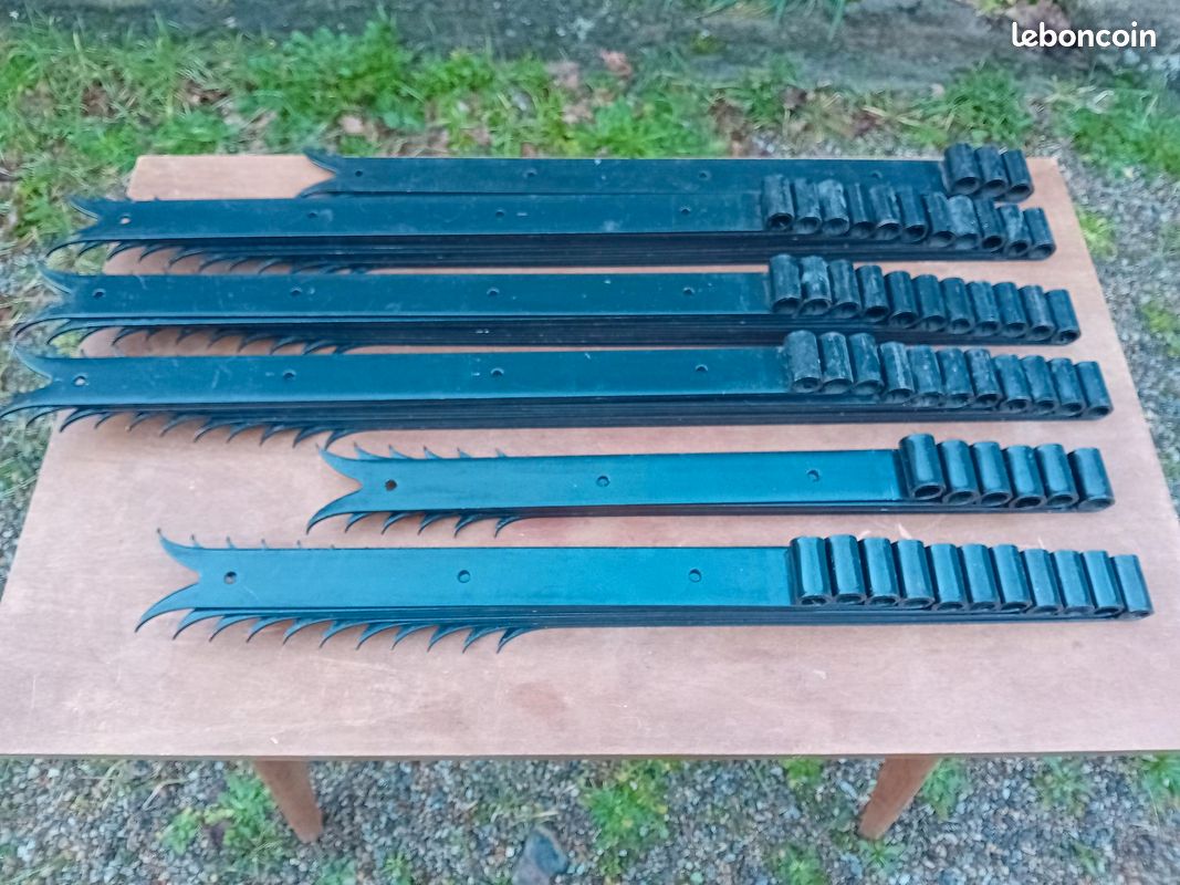 Penture queue de carpe (image 1)