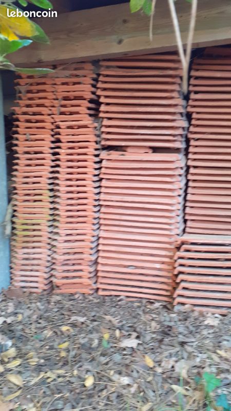 Tuiles Roumazieres TBF 16 (image 1)