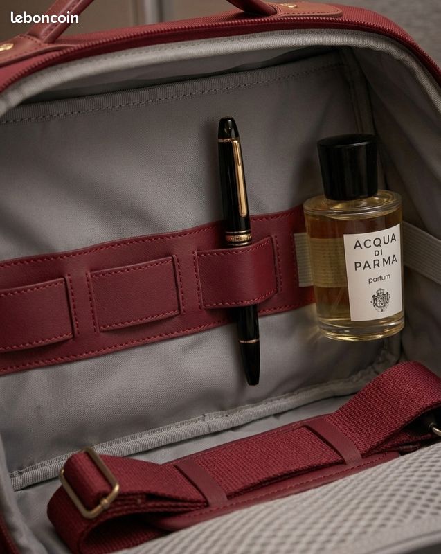 âđ§łâš Vanity / Sac de Voyage DELSEY avec BandouliĂšre â Ătat Impeccable đ (image 4)