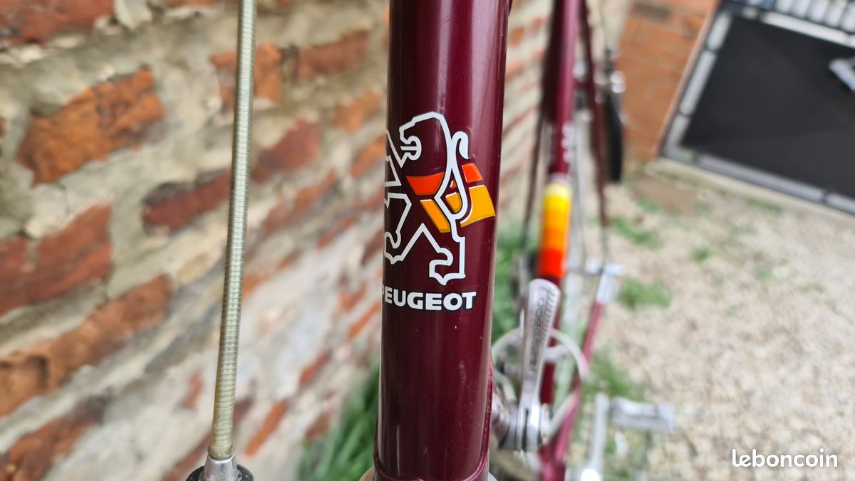 Velo de course peugeot px 10 sh reynolds 531 (image 13)