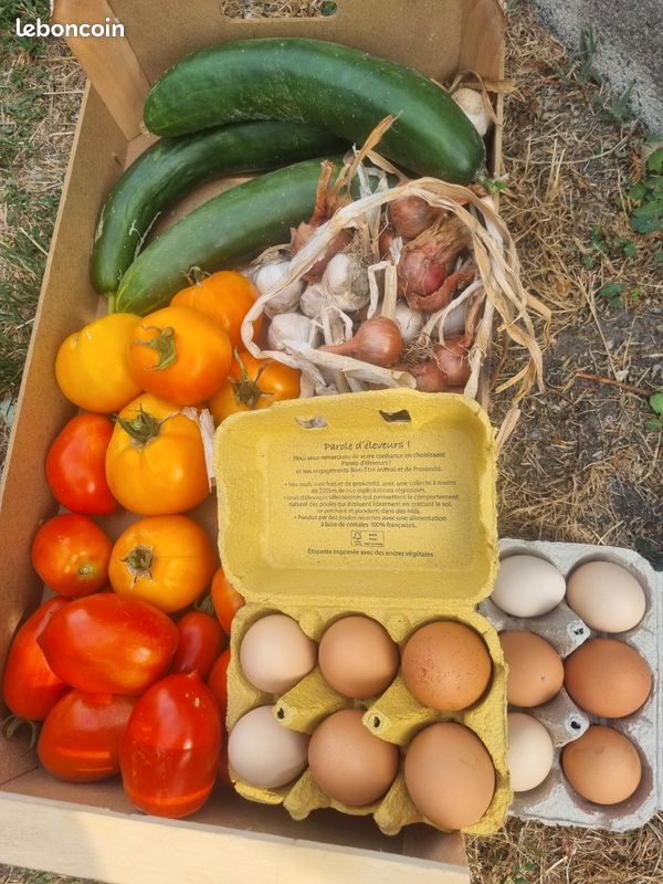 Panier légumes et œufs (image 1)