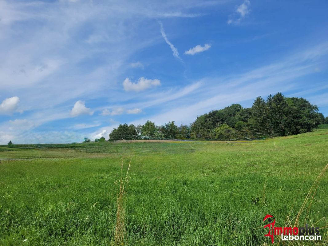 Terrain 1600 m² · à Hagenthal-le-Bas · 1 600 m² · 285 000 €