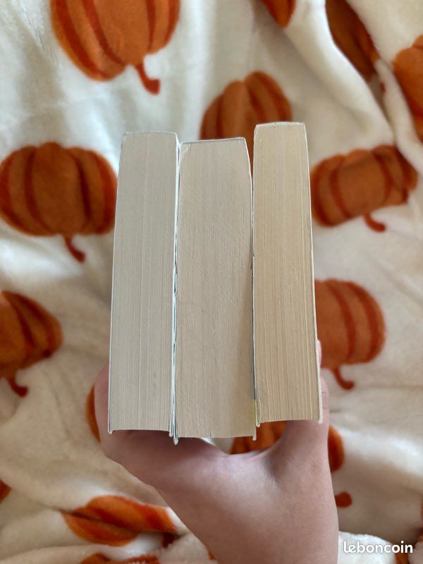 Lot livres new romance universitaire (image 5)