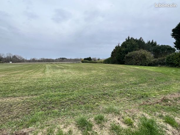 Terrain 3618 m² Maupas