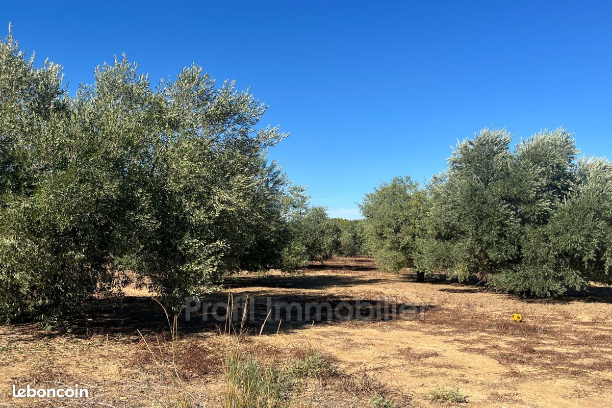 Terrain 15000 m² · à Marsillargues · 15 000 m² · 289 000 €