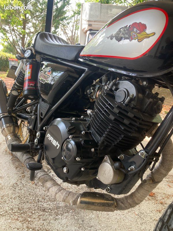 Moto 250 cc Mash dirt track (image 4)