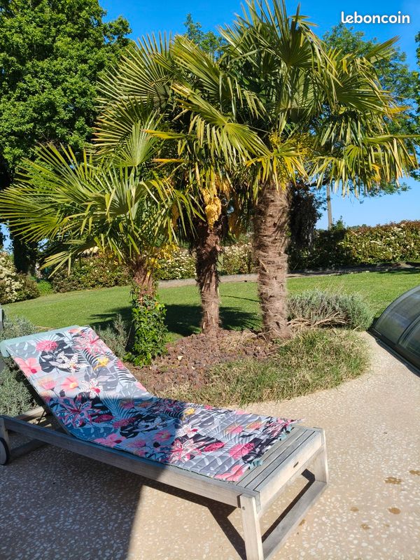 Location vacances, Gîte avec piscine chauffée en vendée , marais poitevin et puy du fou (image 6)