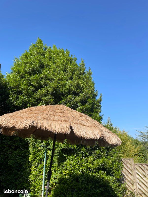 Parasol exotique (image 3)
