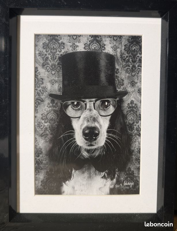 Cadre Photo Chien Noir et Blanc (image 1)