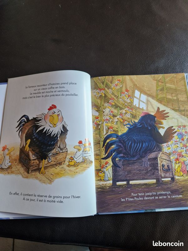 Livre illustré les cocottes et les chocottes (image 3)