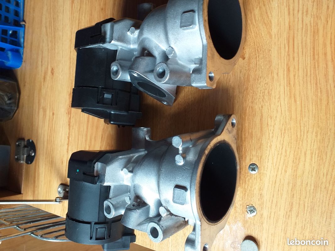 Vannes EGR (image 1)